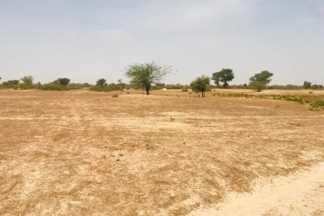 Protégé : Terrain de 1,60 hectare vers Fissel