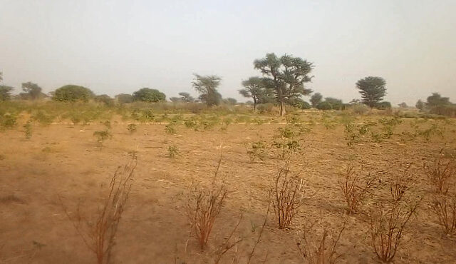 Terrain de 1,34 hectare vers Sindia