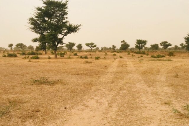 Protégé : Terrain de 4,19 hectares vers Malicounda