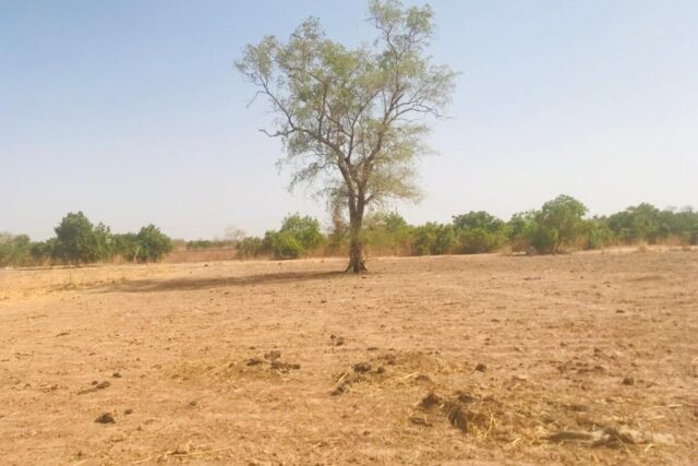 Terrain de 1,23 hectare vers Koungheul