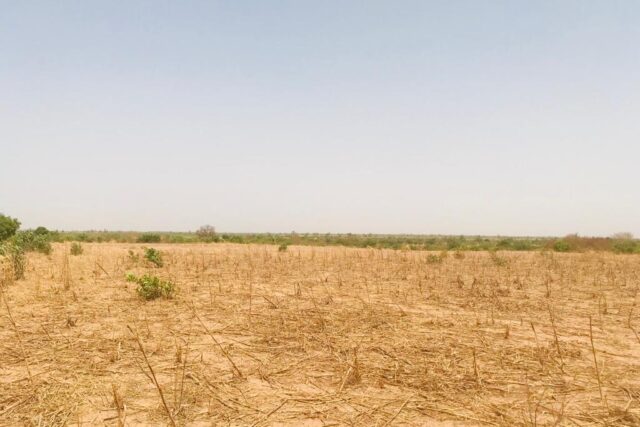 Protégé : Terrain de 2,31 hectares à Koungheul