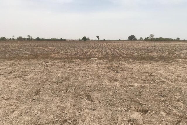 Protégé : Terrain de 4 hectares à Foundiougne