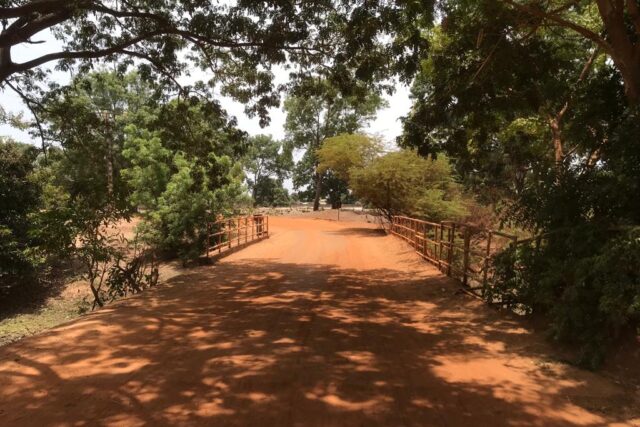 Terrain de 87 hectares vers Toubacouta