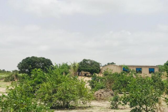 Protégé : Ferme Agricole de 7342 m² à Diender