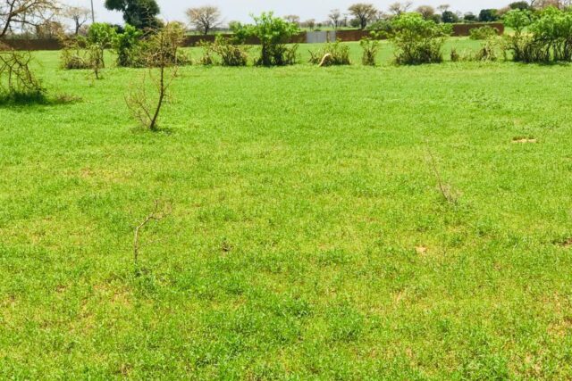 Protégé : Terrain de 1,7 hectare vers Tassette