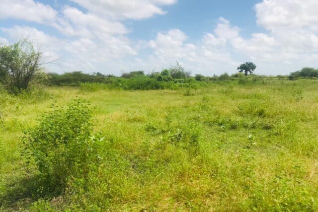 Protégé : Terrain de 1,22 hectare vers Nguéniène