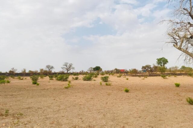 Terrain de 2,3 hectares vers Koungheul