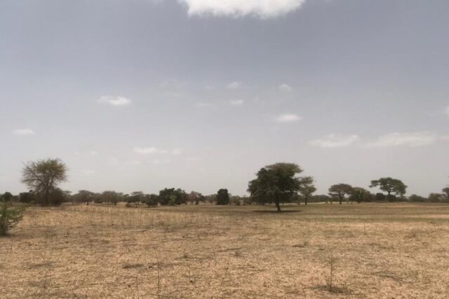 Protégé : Terrain de 10 hectares à Touba Toul