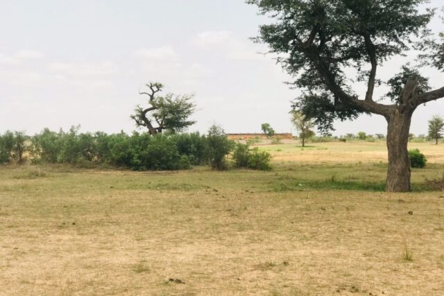 Protégé : Terrain de 43 hectares vers Touba Toul