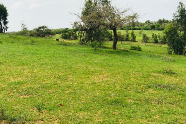 Terrain de 6,4 hectares vers Diokoul Diawrigne