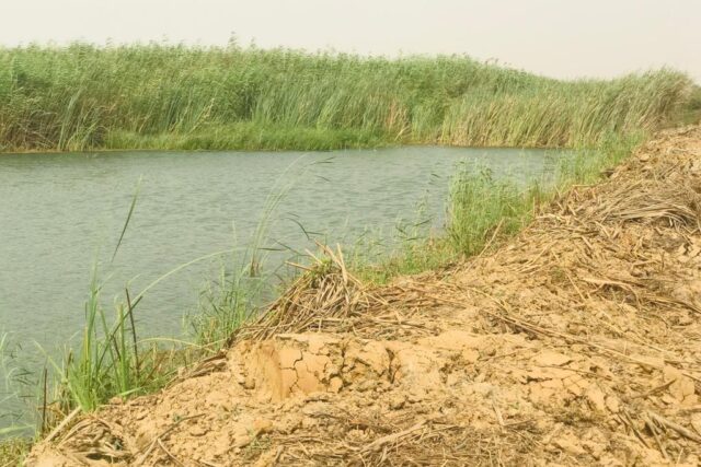 Terrain de 400 hectares vers Diama