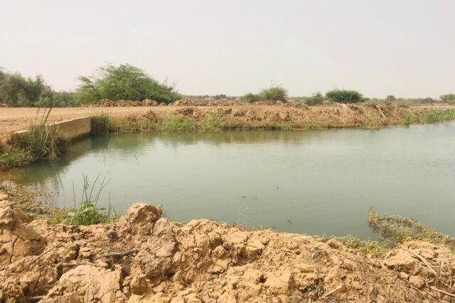 Terrain de 120 hectares vers Diama