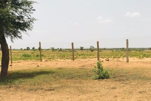 Terrain de 8 hectares vers Touba Toul