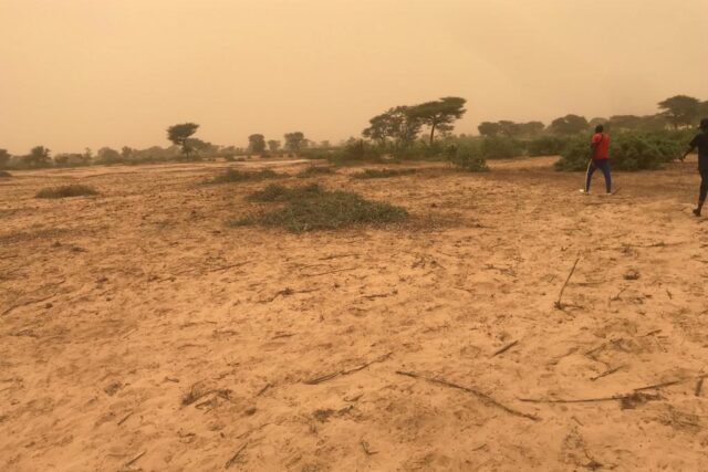 Terrain de 3,63 hectares vers Thiénaba