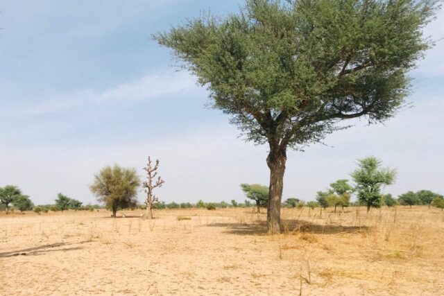 Protégé : Terrain de 5,79 hectares vers Touba Toul