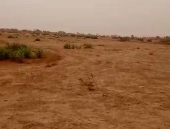 Protégé : Terrain de 12,02 hectares à Tassette