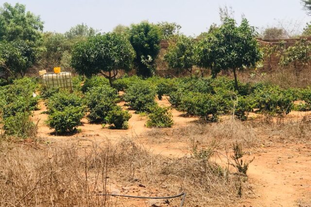 Ferme de 1,04 hectare vers Diass