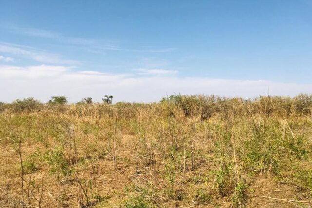 Terrain de 1,06 hectare vers Nguéniène