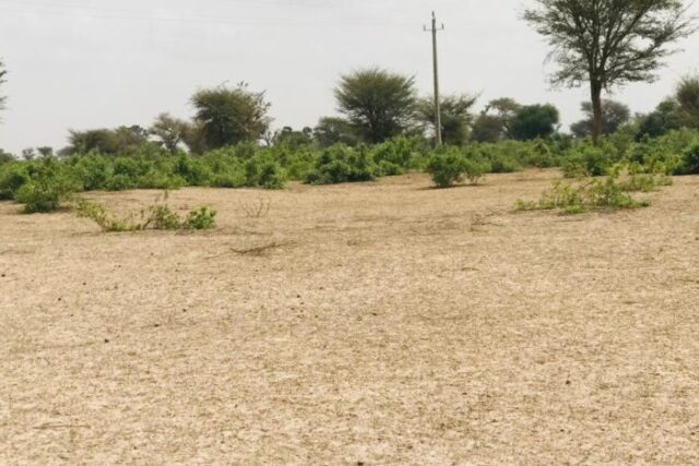 Location de Terrain de 8,2 hectares vers Thiénaba