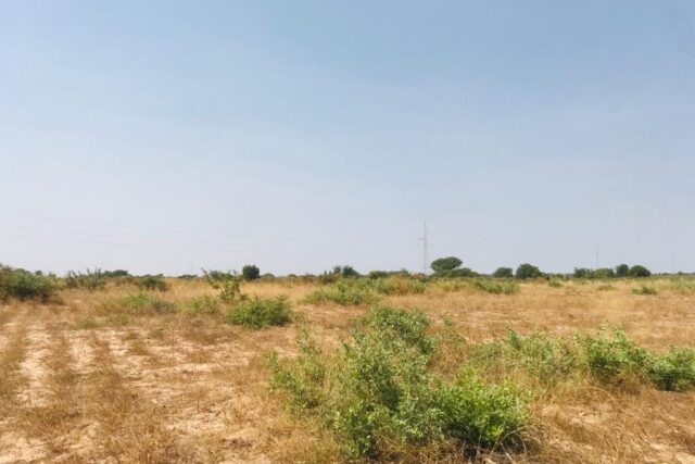 Protégé : Terrain de 1,62 hectare vers Chérif Lô
