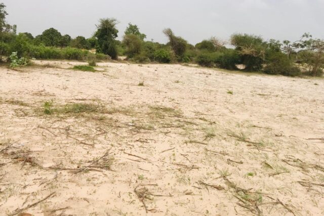 Protégé : Verger Fruitier de 5100 m² à Diender