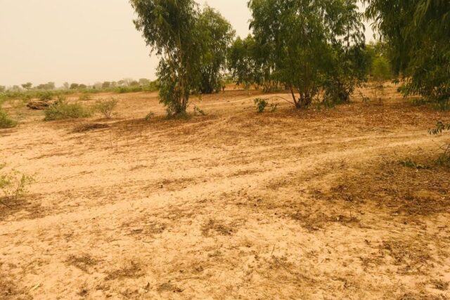 Terrain  de 50 hectares  vers Touba Toul
