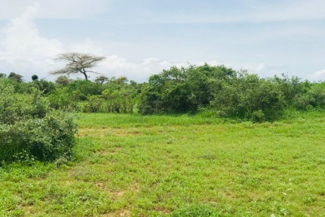 Protégé : Terrain de 1,3 hectare vers la Route des Niayes