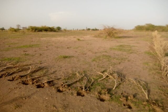 Protégé : Terrain de 1,5 hectare à Nguéniène