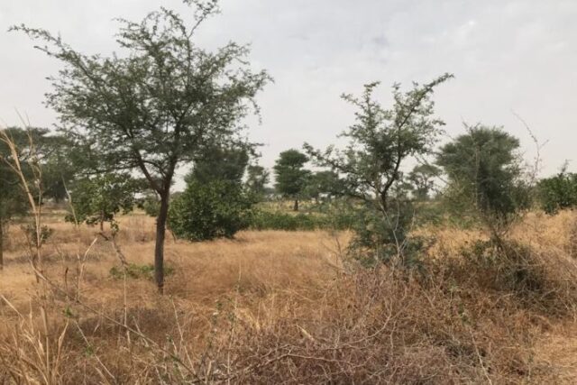 Protégé : Terrain de 13,74 hectares à Tassette