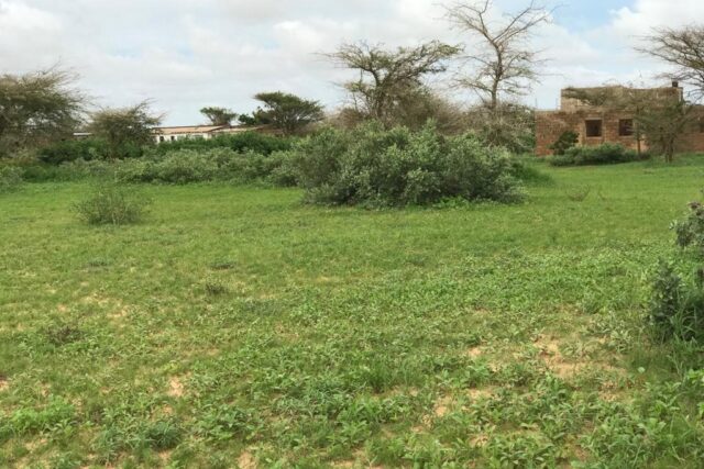 Protégé : Terrain de 2 hectares vers Darou Khoudoss