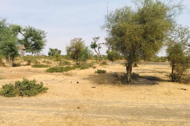 Protégé : Terrain de 3,19 hectares vers Touba Toul