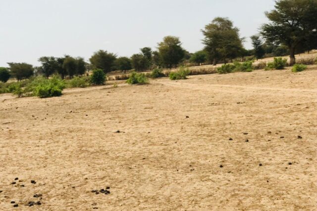 Protégé : Terrain de 1,17 hectare à Tassette