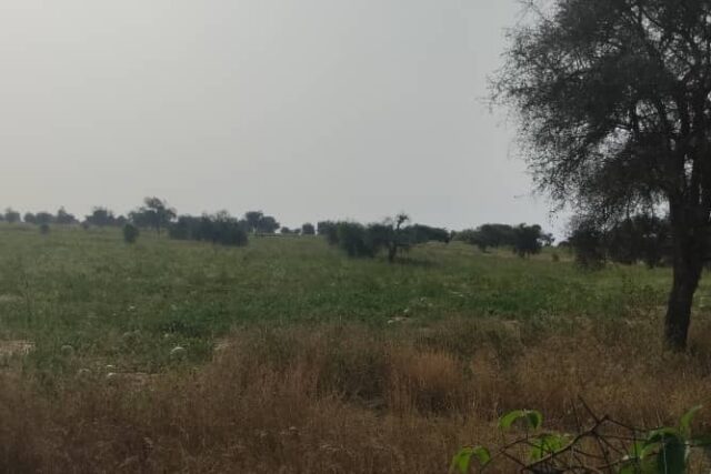 Terrain de 500 hectares vers Mbane