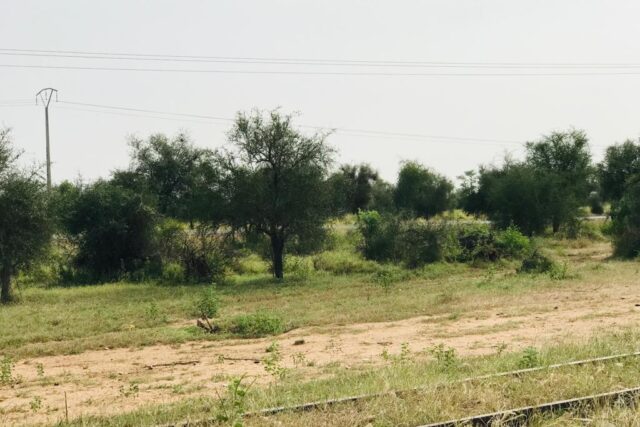 Terrain de 4,73 hectares vers Dalla Ngabou