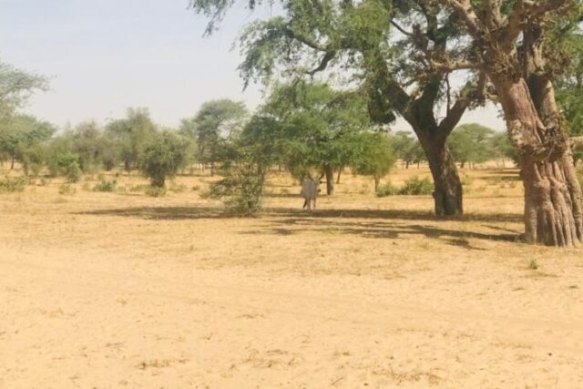 Terrain de 3 hectares vers Koul