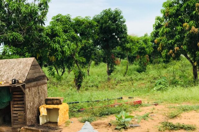 Ferme de 10 hectares vers la Route des Niayes