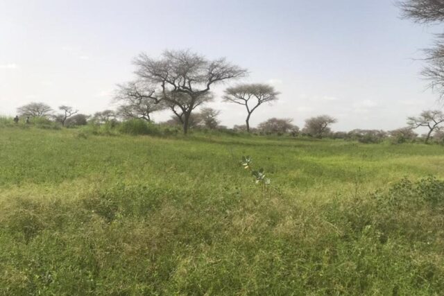 Protégé : Terrain de 1,73 hectare vers Pire