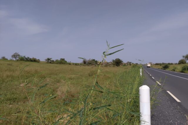 Terrain de 9869 m² vers Thieppe