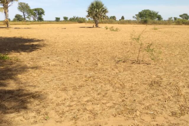 Protégé : Terrain de 1,12 hectare à Tassette