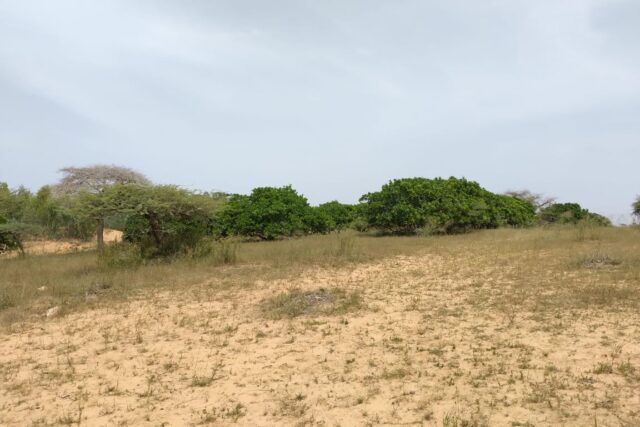 Terrain de 10,37 hectares vers Thieppe