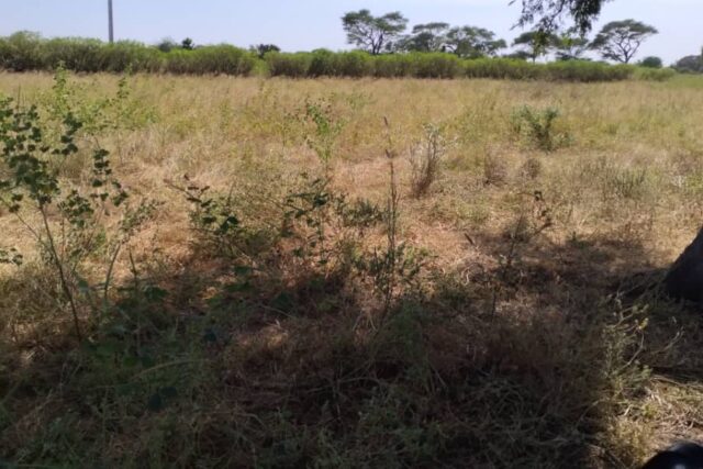 Protégé : Terrain de 7031 m² vers Tassette