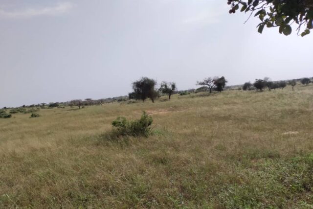 Protégé : Terrain de 15 hectares à Kab Gaye