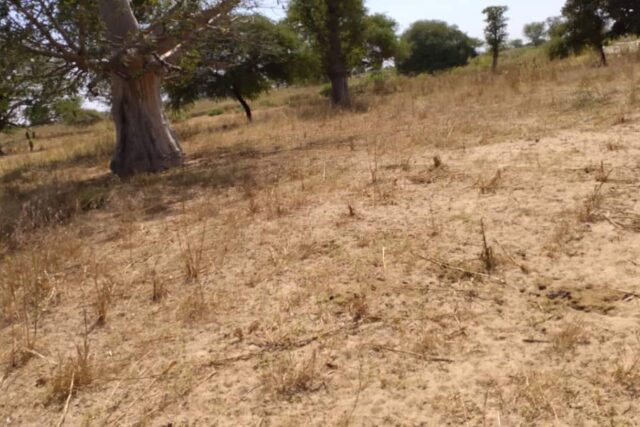 Terrain de 1,85 hectare vers Tassette