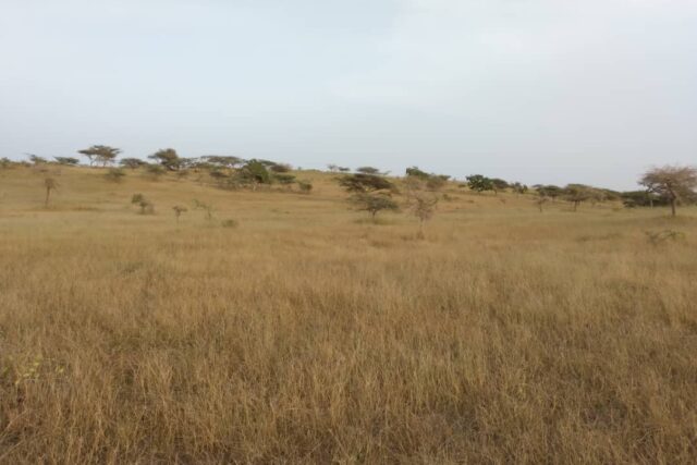 Protégé : Terrain de 50 hectares vers Kab Gaye