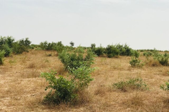 Protégé : Terrain de 4,82 hectares vers Bambey