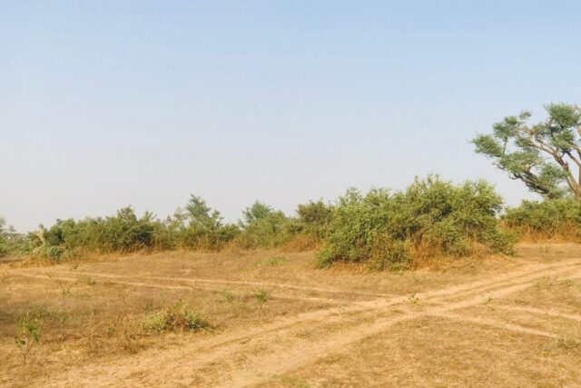 Terrain Agricole de 39  hectares vers Koul