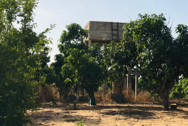 Ferme de 3,70 hectares vers Diender