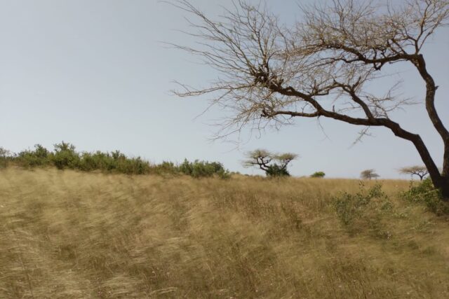 Protégé : Terrain de 4,71 hectares à Darou Khoudoss