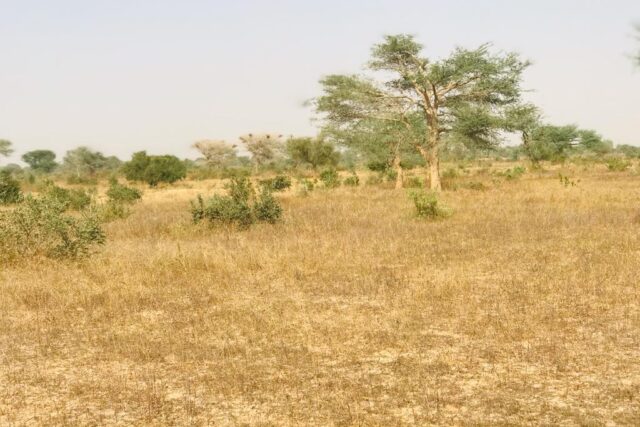 Protégé : Terrain Agricole de 1,96 hectare à Méouane