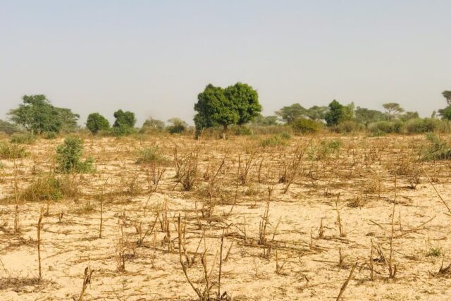 Terrain Agricole de 2,15 hectares vers Méouane